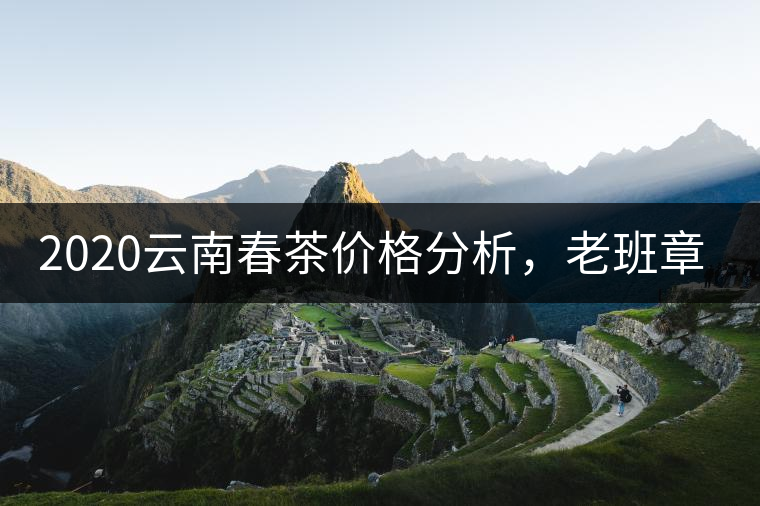 2020云南春茶價格分析,老班章依然將獨占鰲頭? 2020云南春茶價格分析,老班章依然將獨占鰲頭?