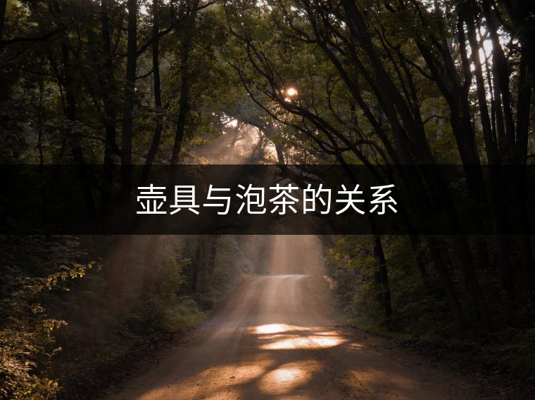 壺具與泡茶的關系 壺具與泡茶的關系