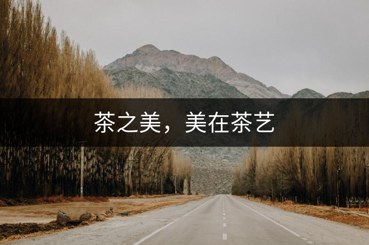 茶之美,美在茶藝 茶之美,美在茶藝