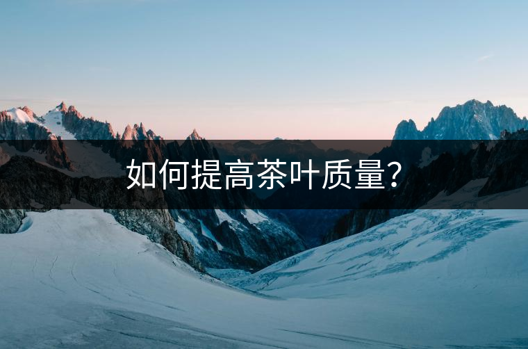 如何提高茶葉質量? 如何提高茶葉質量?