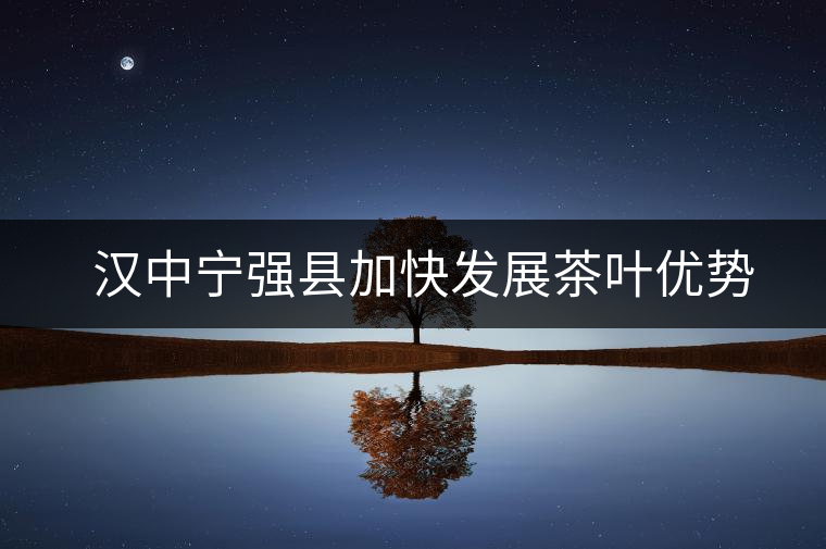 漢中寧強(qiáng)縣加快發(fā)展茶葉優(yōu)勢(shì)產(chǎn)業(yè) 漢中寧強(qiáng)縣加快發(fā)展茶葉優(yōu)勢(shì)產(chǎn)業(yè)