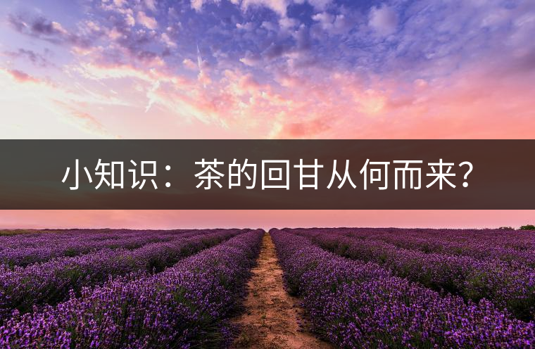 小知識:茶的回甘從何而來? 小知識:茶的回甘從何而來?