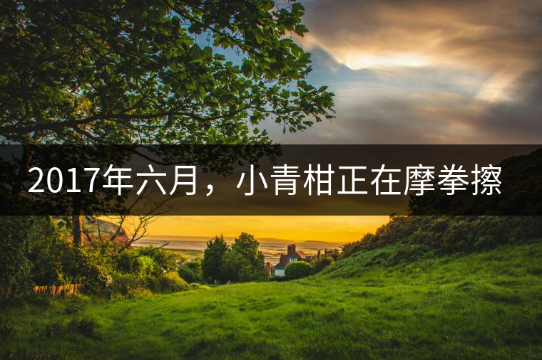 2017年六月,小青柑正在摩拳擦掌 2017年六月,小青柑正在摩拳擦掌