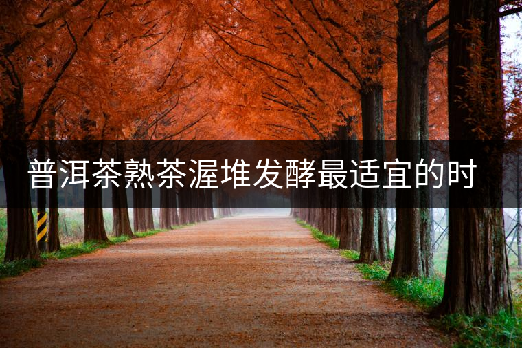 普洱茶熟茶渥堆發(fā)酵最適宜的時(shí)期是什么時(shí)候？
