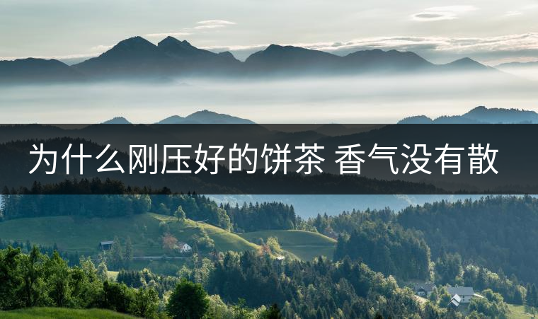 為什么剛壓好的餅茶 香氣沒(méi)有散茶好? 為什么剛壓好的餅茶 香氣沒(méi)有散茶好?