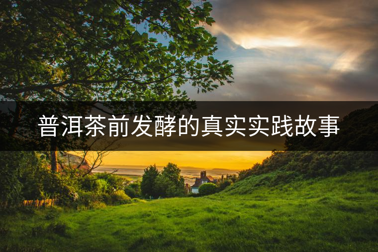 普洱茶前發酵的真實實踐故事