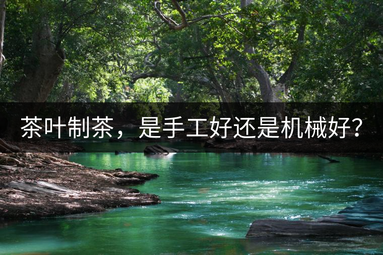 茶葉制茶，是手工好還是機(jī)械好？