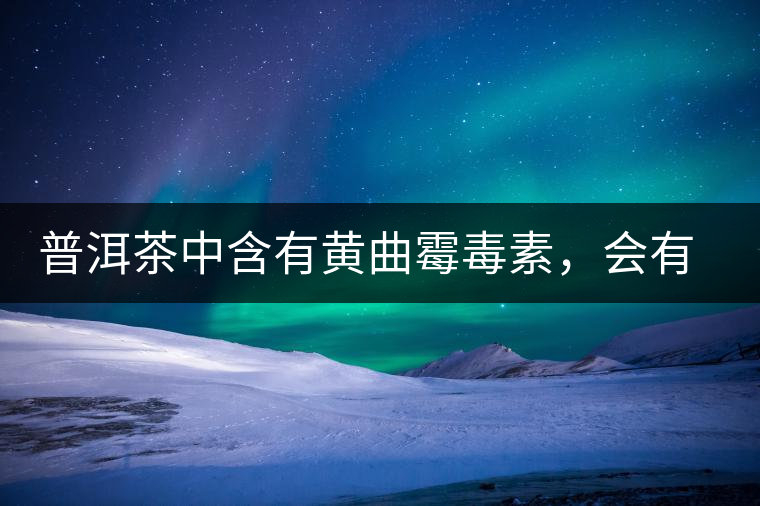 普洱茶中含有黃曲霉毒素，會有致癌的危險？終于有明確的答案了