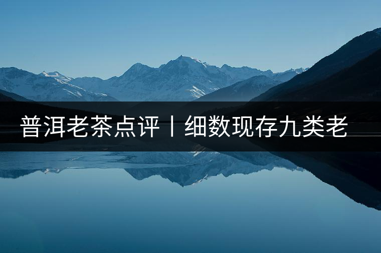 普洱老茶點評丨細數現存九類老茶的特點 普洱老茶點評丨細數現存九類老茶的特點