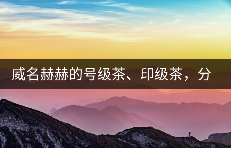 威名赫赫的號級茶、印級茶,分別是些什么普洱茶? 威名赫赫的號級茶、印級茶,分別是些什么普洱茶?