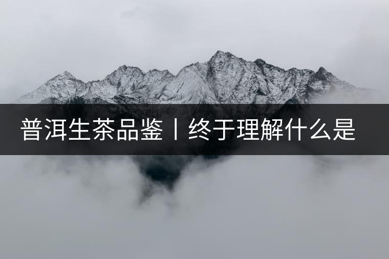 普洱生茶品鑒丨終于理解什么是“醇厚、耐泡，回甘”了