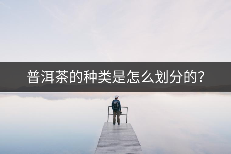 普洱茶的種類是怎么劃分的？