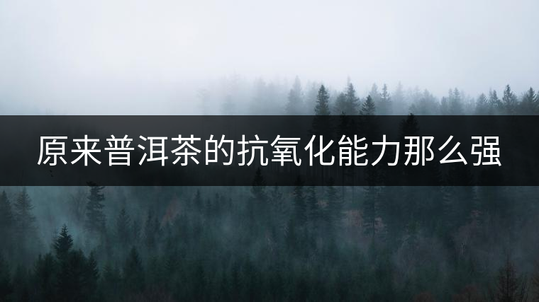 原來普洱茶的抗氧化能力那么強 原來普洱茶的抗氧化能力那么強
