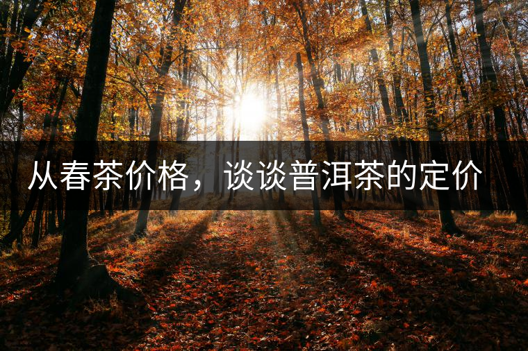 從春茶價格，談談普洱茶的定價權
