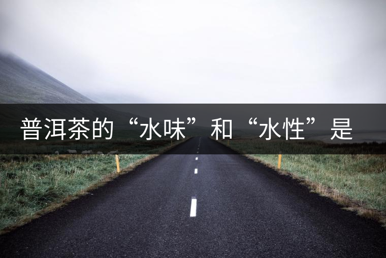 普洱茶的“水味”和“水性”是一種東西還是兩種東西? 普洱茶的“水味”和“水性”是一種東西還是兩種東西?