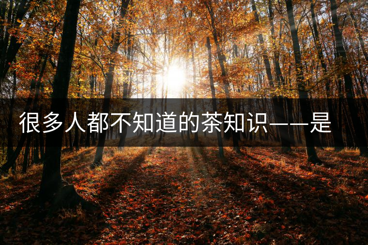 很多人都不知道的茶知識(shí)——是什么造就了普洱茶的一山一味? 很多人都不知道的茶知識(shí)——是什么造就了普洱茶的一山一味?