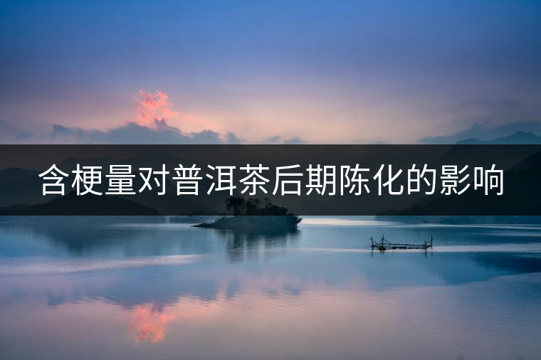 含梗量對普洱茶后期陳化的影響