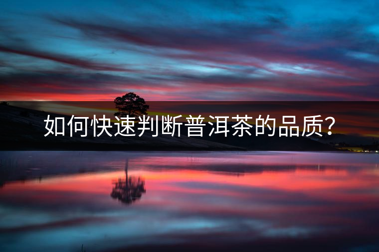 如何快速判斷普洱茶的品質？