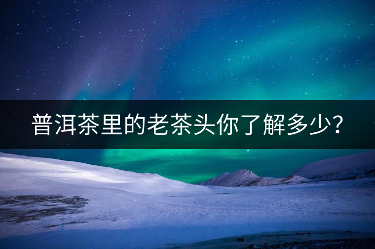 普洱茶里的老茶頭你了解多少？