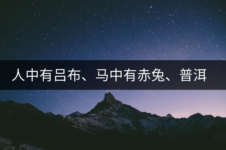 人中有呂布、馬中有赤兔、普洱中有茶化石：碎銀子！