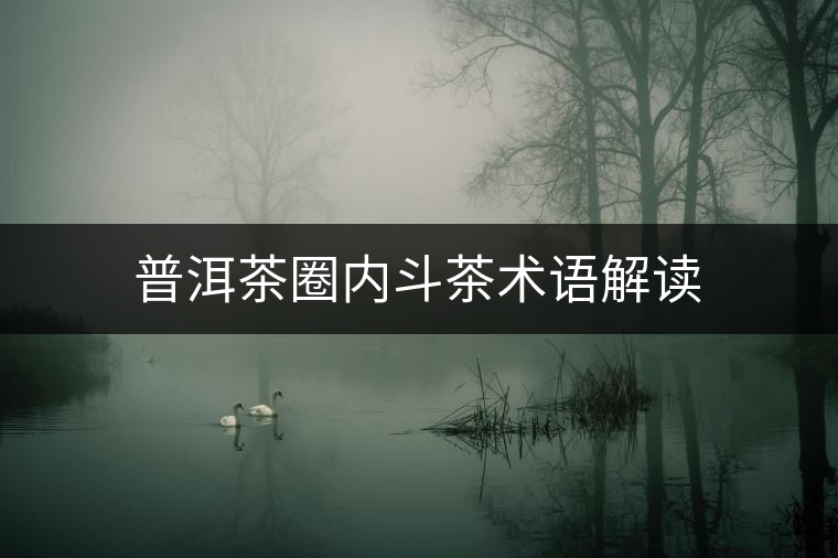 普洱茶圈內斗茶術語解讀