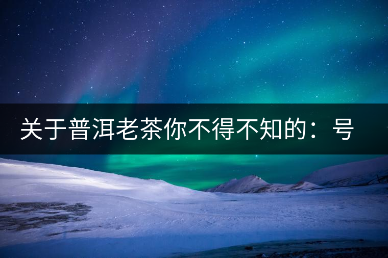 關(guān)于普洱老茶你不得不知的：號級茶、印級茶、七子餅茶