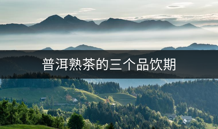 普洱熟茶的三個品飲期 普洱熟茶的三個品飲期