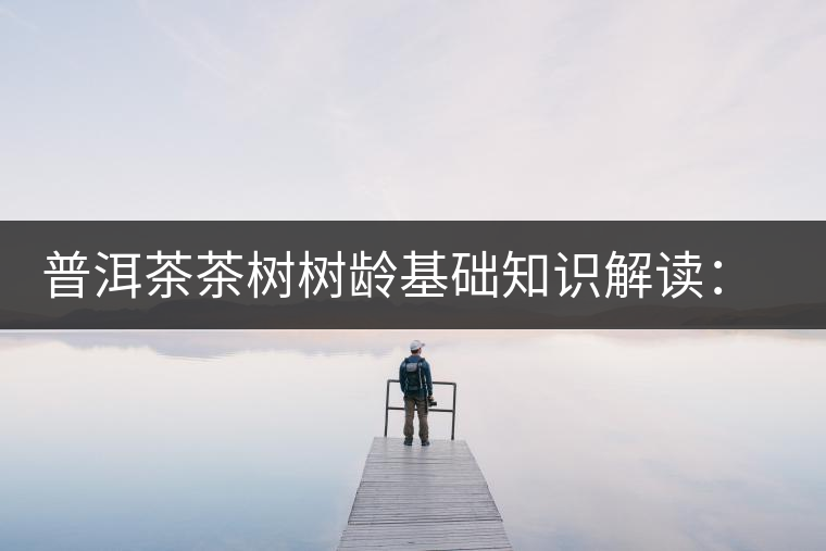 普洱茶茶樹樹齡基礎知識解讀：多大樹齡的茶才算古樹茶？