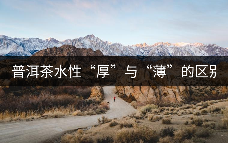 普洱茶水性“厚”與“薄”的區別！