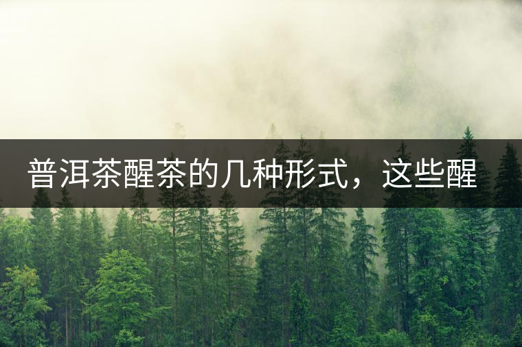 普洱茶醒茶的幾種形式，這些醒茶方法你都會了嗎？