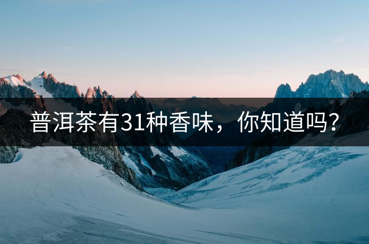 普洱茶有31種香味，你知道嗎？