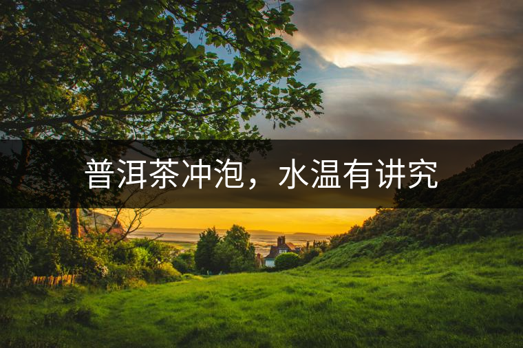普洱茶沖泡,水溫有講究 普洱茶沖泡,水溫有講究