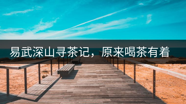 易武深山尋茶記,原來喝茶有著這么多誤區 易武深山尋茶記,原來喝茶有著這么多誤區