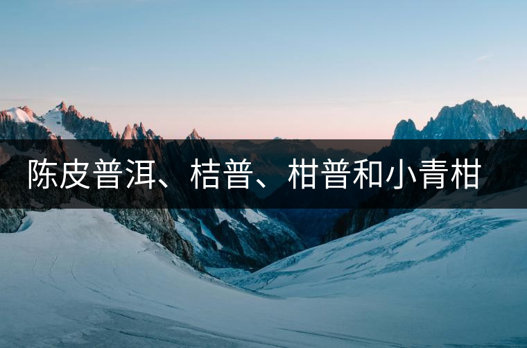 陳皮普洱、桔普、柑普和小青柑茶的分辨技巧 陳皮普洱、桔普、柑普和小青柑茶的分辨技巧