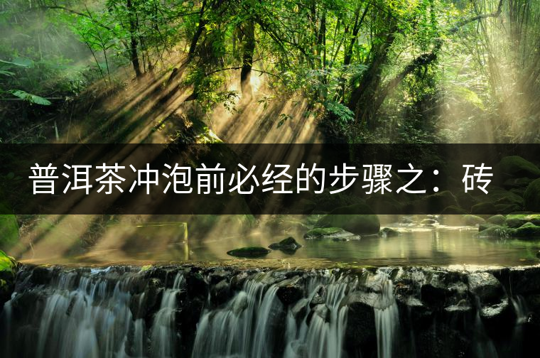 普洱茶沖泡前必經的步驟之:磚茶如何撬? 普洱茶沖泡前必經的步驟之:磚茶如何撬?