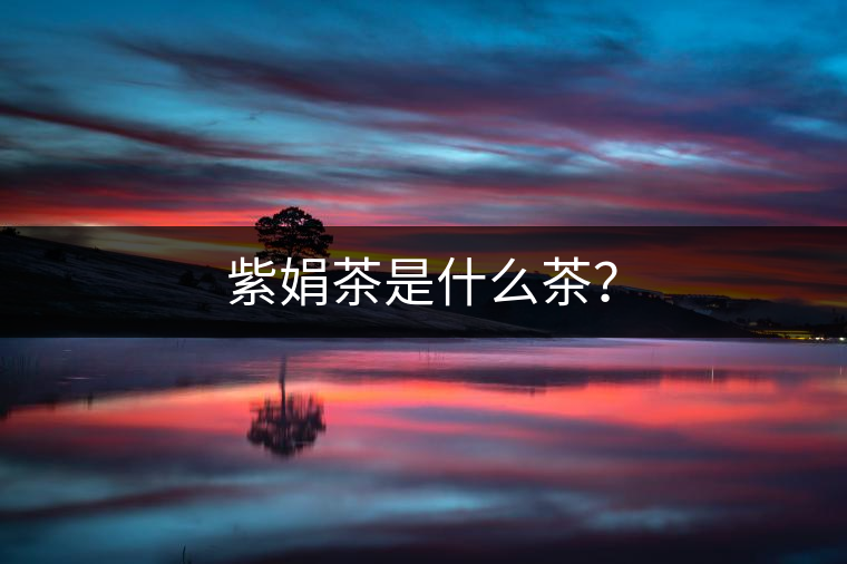 紫娟茶是什么茶? 紫娟茶是什么茶?