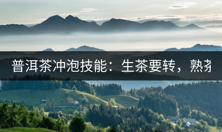 普洱茶沖泡技能：生茶要轉，熟茶要柔！