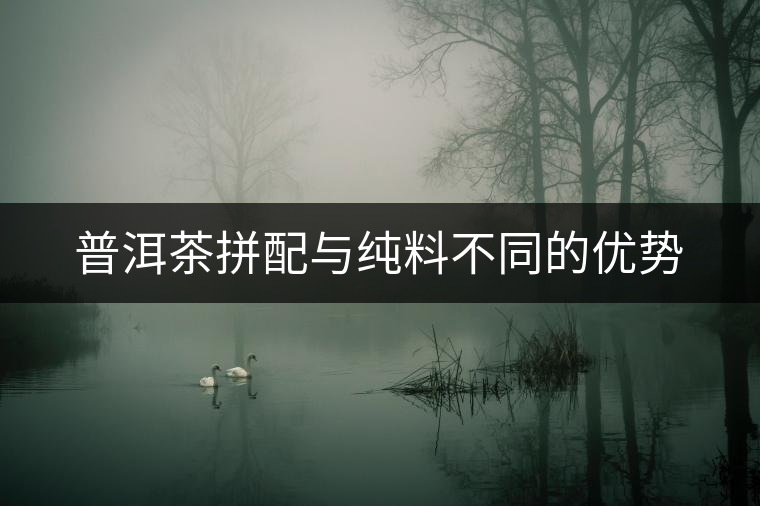 普洱茶拼配與純料不同的優勢