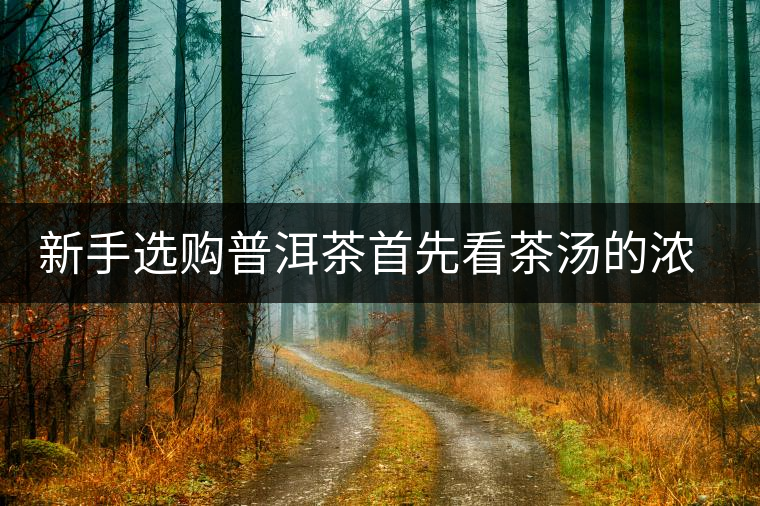 新手選購普洱茶首先看茶湯的濃稠度 新手選購普洱茶首先看茶湯的濃稠度