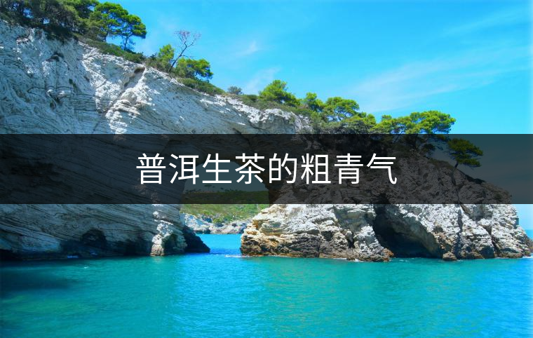 普洱生茶的粗青氣 普洱生茶的粗青氣
