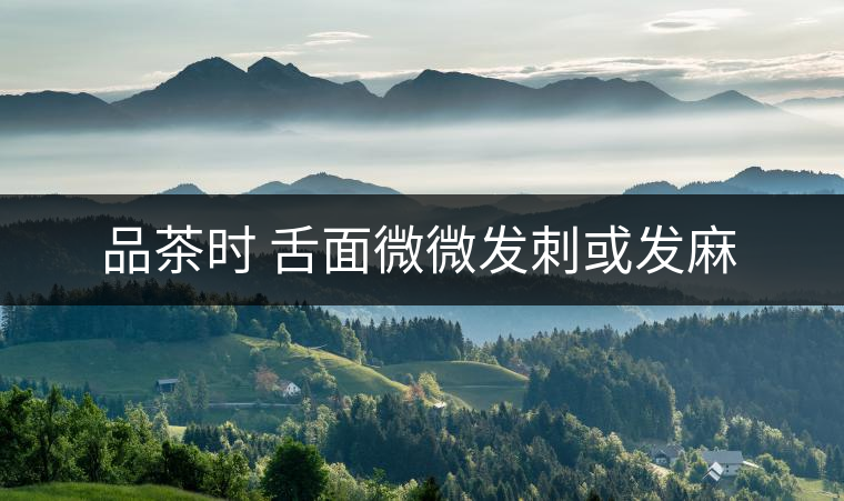 品茶時 舌面微微發刺或發麻 品茶時 舌面微微發刺或發麻