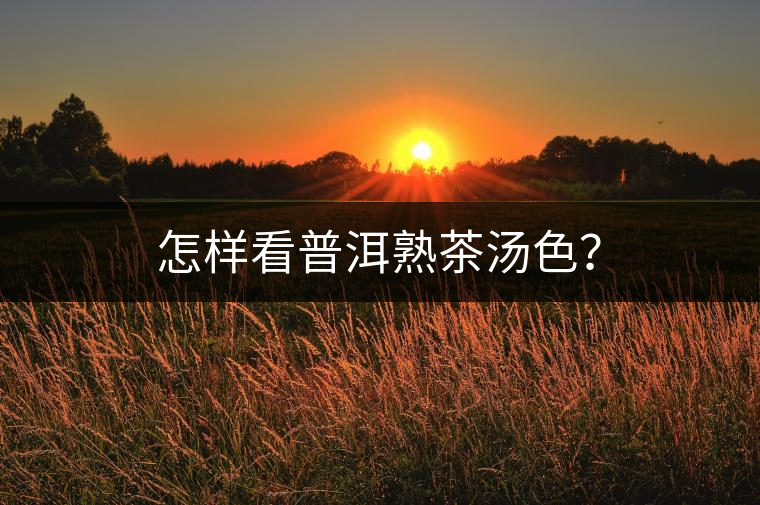怎樣看普洱熟茶湯色? 怎樣看普洱熟茶湯色?