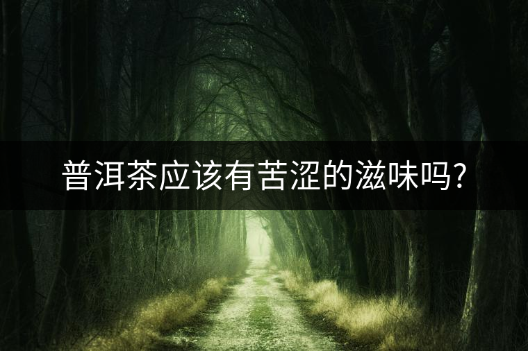 普洱茶應該有苦澀的滋味嗎? 普洱茶應該有苦澀的滋味嗎?