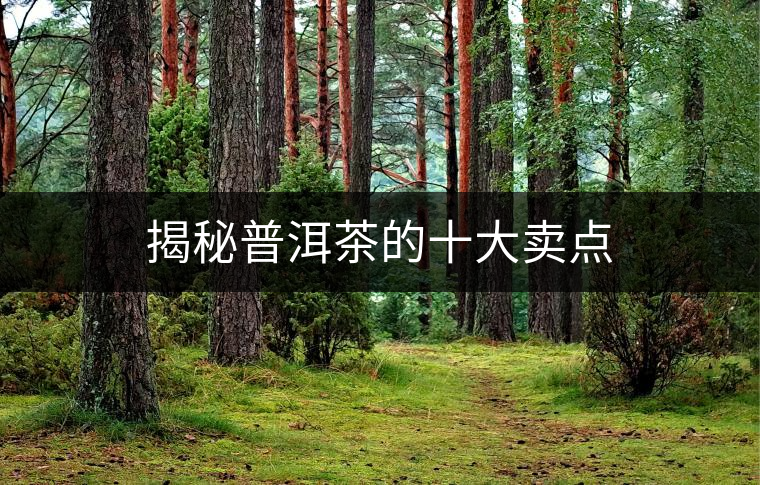 揭秘普洱茶的十大賣點