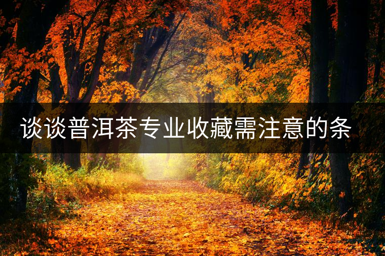 談談普洱茶專業收藏需注意的條件