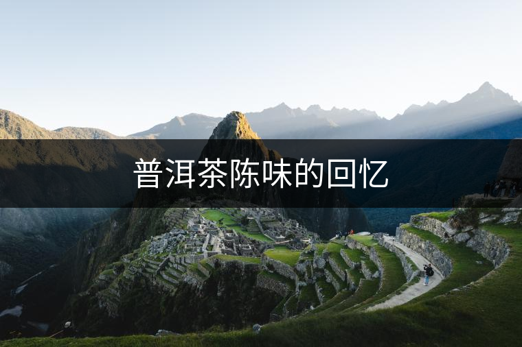 普洱茶陳味的回憶 普洱茶陳味的回憶