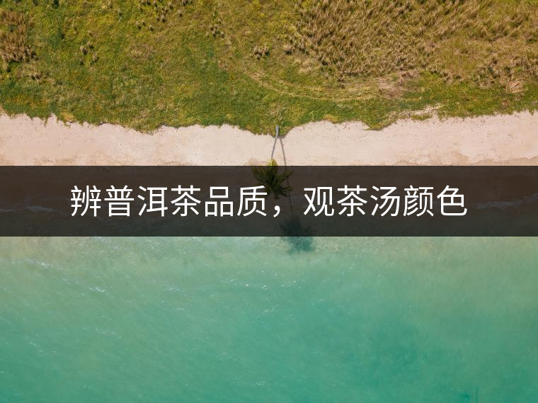 辨普洱茶品質,觀茶湯顏色 辨普洱茶品質,觀茶湯顏色