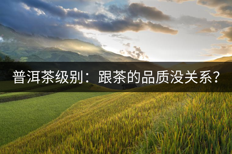 普洱茶級別：跟茶的品質沒關系？