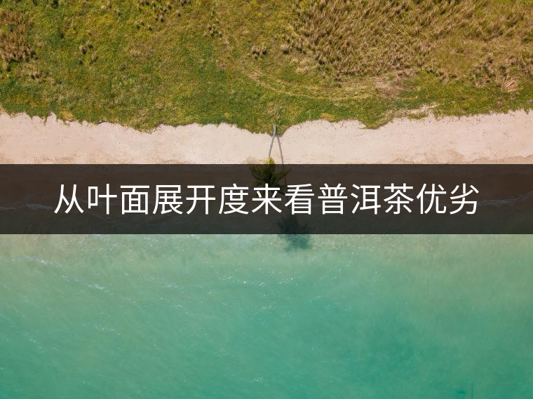 從葉面展開度來看普洱茶優劣 從葉面展開度來看普洱茶優劣