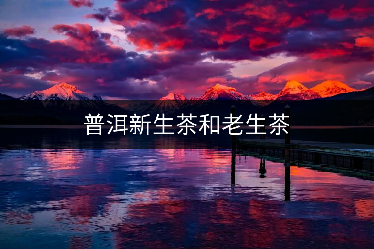 普洱新生茶和老生茶
